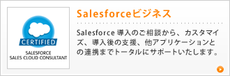 Salesforceビジネス