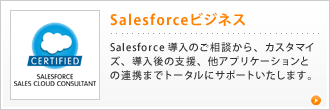 SalesforcerWlX